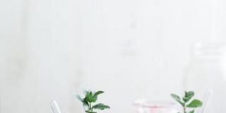 夏日草莓芙蓉冰爽茶 想喝的看过来吧