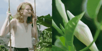 <b>2017流行色发布！用这些装饰家一定会更美</b>