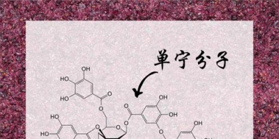 葡萄酒单宁究竟是何方神圣？