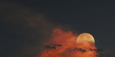 <b>摄影 | 这些令人惊奇的照片真的没有PS过，信不信由你了！</b>