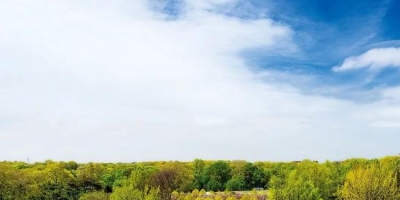 悬空的伊甸园：逃离城市地表 拥抱宁静天空