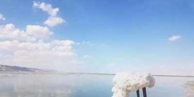 脑洞太大 这波设计让人想不记住都难！