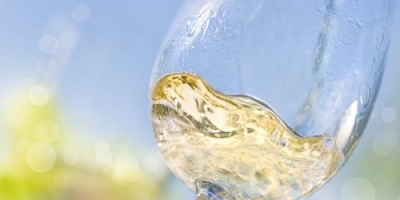 夏季将至 这些葡萄酒更适合你