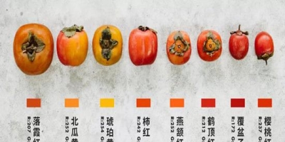 如果秋天是个美人 她最爱的口红色号应该叫柿子