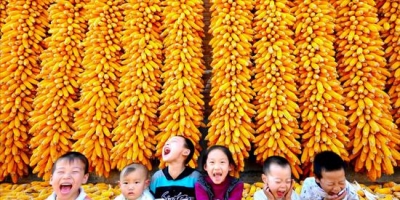 北半球最撩人的秋色 在中国！