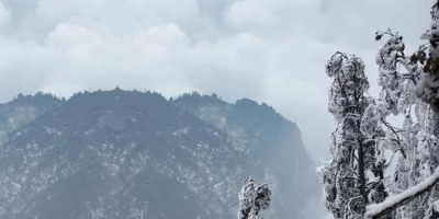你见过雪后的峨眉山吗？简直像人间仙境