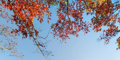 这个夏天 是时候去看看川渝这10个地方了