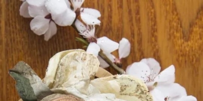 <b>救命 根本没有好闻的夏日香水</b>