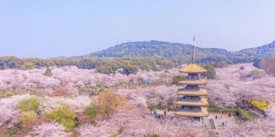 120万人冲上热搜后 才发现我们对武汉一无所知...