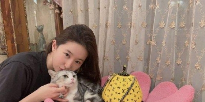 <b>刘亦菲分享日常素颜美照 黑长直发型与猫咪互动眼神温柔</b>